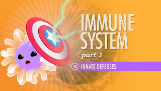 Immune System Part 1 Crash Course Anatomy amp Physiology 45 [upl. by Lancelot]