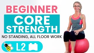 BEGINNER CORE  15 Minute STABILITY BALL Workout for BEGINNERS [upl. by Lahey23]