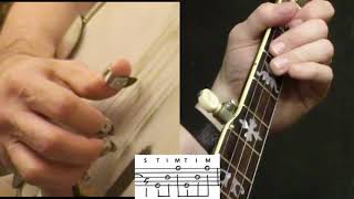 Bluegrass Banjo Lesson quotWagon Wheelquot [upl. by Luisa]