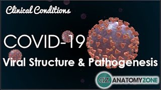 Coronavirus COVID19  Viral Structure amp Pathogenesis [upl. by Marven250]