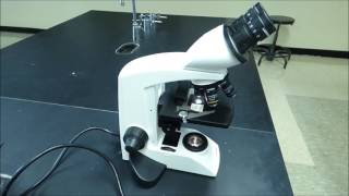 Compound Microscope Tutorial  Boston University Biology [upl. by Abbe]