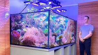 GERMAN REEF TANKS  quotNature Reefquot  3000 liter  790 gallon coral aquascape  saltwater aquarium [upl. by Bannister66]