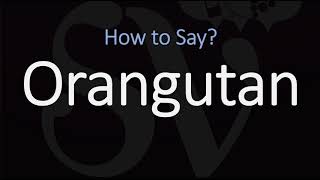 How to Pronounce Orangutan CORRECTLY [upl. by Adas860]