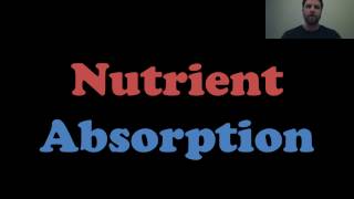 Nutrient Absorption [upl. by Helene]