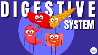 Digestive System Ingestion to Egestion Explained in Simple Words [upl. by Jaquelyn]