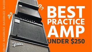 Best Beginner Bass Amp Group Review [upl. by Marlo644]