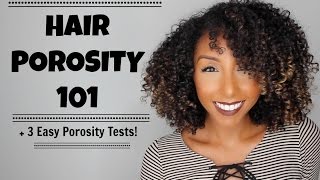 Hair Porosity 101 amp 3 Easy Hair Porosity Tests  BiancaReneeToday [upl. by Akirdnahs62]