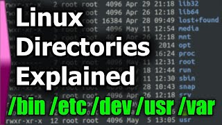 Linux File SystemStructure Explained [upl. by Dlaner]