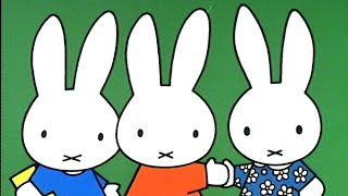 Miffys Birth  Miffy  Full Episode Compilation [upl. by Henarat]