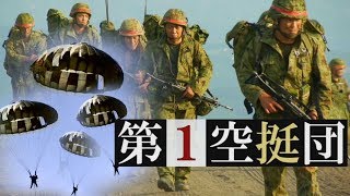 【実録！精鋭部隊】任務と現実のはざまで～第1空挺団「訓練検閲」桜H291224 [upl. by Casimire563]