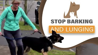 How to STOP your dog barking lunging at visitors amp dogs aggression [upl. by Brownley]