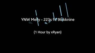 YNW Melly  223s ft 9lokknine 1 HOUR [upl. by Alves37]