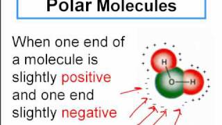 Polar and NonPolar Covalent Molecules [upl. by Yenettirb575]