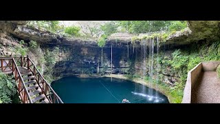 Cenote Swimming Cenote Saamal Yucatan Mexico [upl. by Hamer]