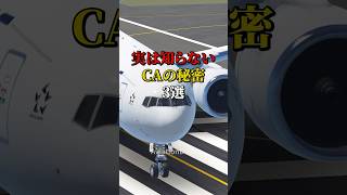 実は知らないCAの秘密3選 航空機 飛行機 雑学 [upl. by Rahas]