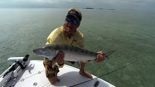 Screaming Bonefish Fishing the Flats In Downtown Islamorada Florida [upl. by Annel427]