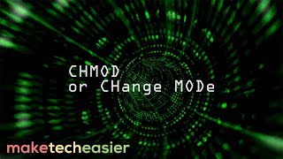 What does CHMOD 777 mean in Linux [upl. by Panchito]