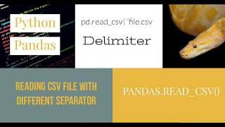 How import CVS into pandas with colontabsemicolon separator Delimiter [upl. by Anitsuga]