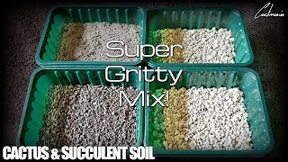 Cactus amp Succulent Soil Mix  What I use for my Plants [upl. by Lladnarc]