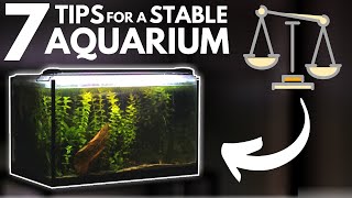 7 Tips for Keeping a Stable Aquarium [upl. by Kwarteng]