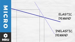 Elasticity of Demand [upl. by Norvall]