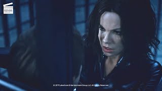 Underworld Blood wars Selene VS Varga HD CLIP [upl. by Uis]