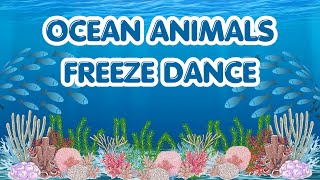 Ocean Animals Freeze Dance  Dance and Freeze [upl. by Reg]