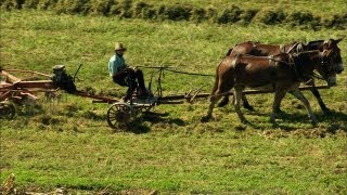 Pennsylvanias Amish Country [upl. by Bostow]