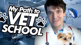 How I Got Into VET SCHOOL  ADVICE [upl. by Layla]