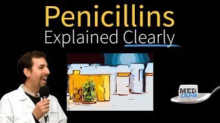 Penicillins  Antibiotics Explained Clearly [upl. by Rotsen584]