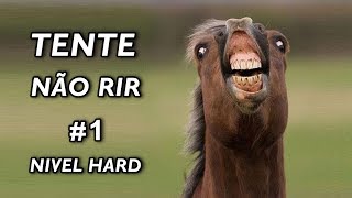 Tente Não Rir Nível Hard 1 [upl. by Elga]