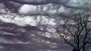 Undulatus asperatus Асператусы в небе [upl. by Noreht]