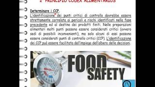 7 principi Haccp [upl. by Corissa345]