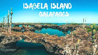 Visiting Isabela Island Galapagos Islands Ecuador [upl. by Ansley]