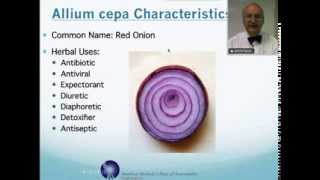 Allium Cepa Homeopathic Medicine Tips For Beginners [upl. by Eglantine]