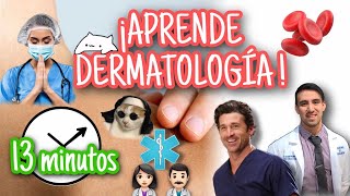 PIEL ¡Anatomía funcional en 13 minutos BASES DE LA DERMATOLOGÍA [upl. by Neryt]