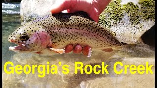 Trout Fishing Georgias Rock Creek [upl. by Broderick501]