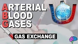 Blood Gases and Gas Exchange  Arterial Blood Gases Part 2 [upl. by Zile188]