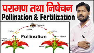 POLLINATION AND FERTILISATION  Agents of Pollination  Cross pollination  Self Pollination [upl. by Craw]