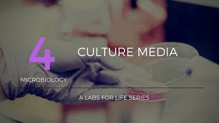 Culture Media [upl. by Alaik]