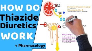 How do Thiazide Diuretics Work  Pharmacology [upl. by Nas483]