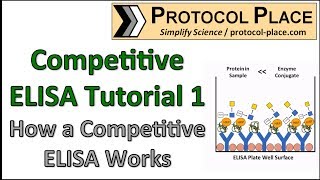 Competitive ELISA Tutorial 1 How a Competitive ELISA Works [upl. by Dulcine25]