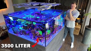 GERMAN REEF TANKS  massive saltwater aquarium 920 gallon private tour [upl. by Esekram]