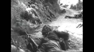 Bataille de la Poche de Falaise  aout 1944 [upl. by Homans]