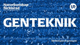 Genteknik förklarad  BIOLOGI  Gymnasienivå [upl. by Oznarol]