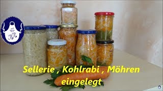 Sellerie  Kohlrabi  Möhren einlegen [upl. by Ranzini]