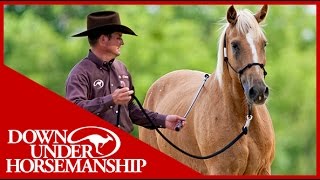 Clinton Anderson Training a Rescue Horse Part 3  Downunder Horsemanship [upl. by Earaj]