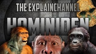 Hominiden Menschliche Evolution einfach erklärt [upl. by Etteniotnna]