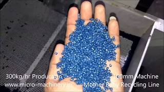 Plastic Granules Making Machine GRANULEX 100D [upl. by Suivatnom238]