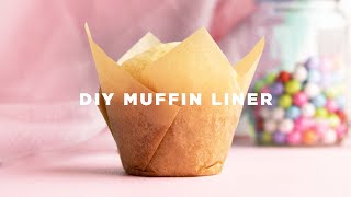 How to Make Cupcake Liners [upl. by Menard]